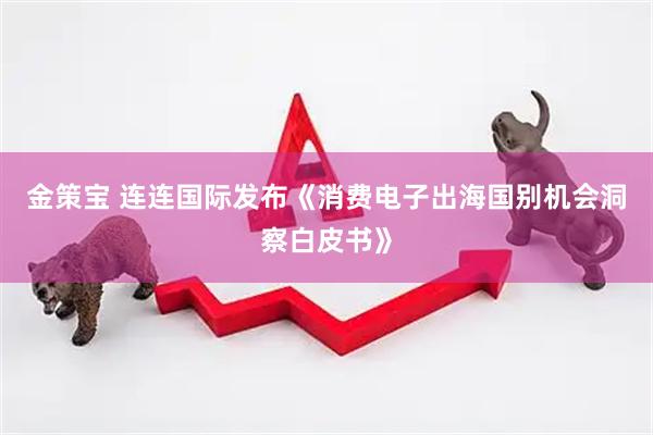 金策宝 连连国际发布《消费电子出海国别机会洞察白皮书》