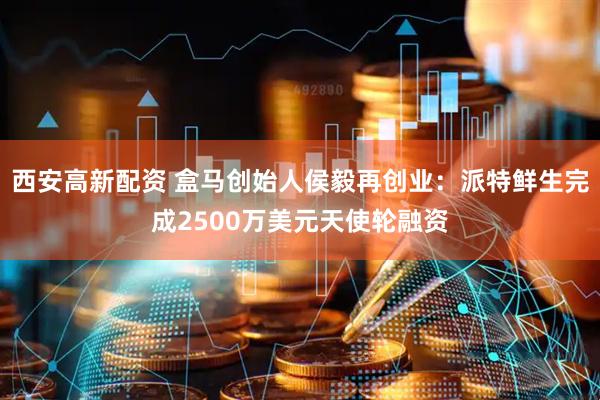 西安高新配资 盒马创始人侯毅再创业：派特鲜生完成2500万美元天使轮融资
