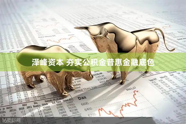 泽峰资本 夯实公积金普惠金融底色